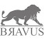 Bravus suporte's user avatar