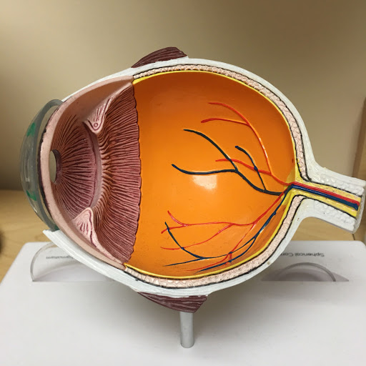 Eye Exam inside Union City Walmart