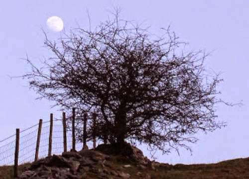 Gibbous Moonn Phase Begins