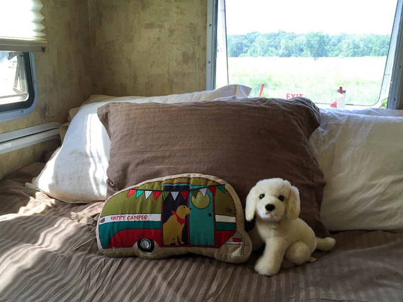 new puppy and pillow