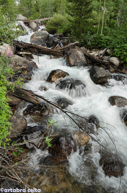 GRAND TETON NATIONAL PARK (WYOMING, USA), Naturaleza-USA (28)