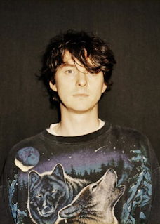 Panda Bear Net Worth, Age, Wiki, Biography, Height, Dating, Family, Career