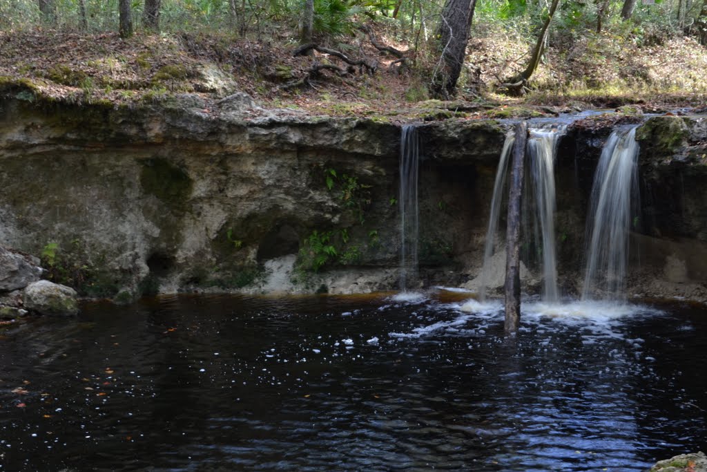 Falling Creek Falls, Florida