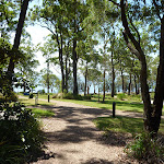 Landscaped ground at Murray's Beach (389246)