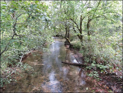 Cades Cove scenic Loop