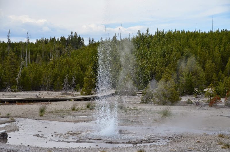 norris yellowstone