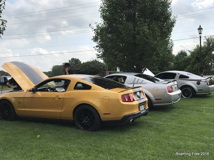 More Mustangs!