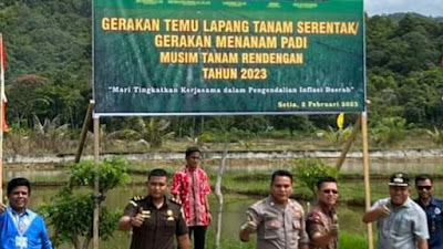 Pemkab Abdya Upayakan IP 3 Kali Tanam pada tahun 2023