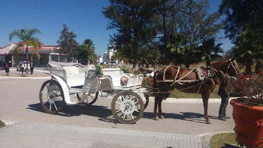 Hacienda Charra, De Los Carteros 834A, Sta Maria de Cementos Nte, 37557 León, Gto., México, Atracción turística | GTO