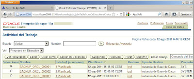 Copia de seguridad física en línea con RMAN en Oracle 11g con ARCHIVELOG activado