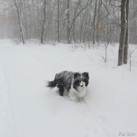 Chance March 5 Snowstorm