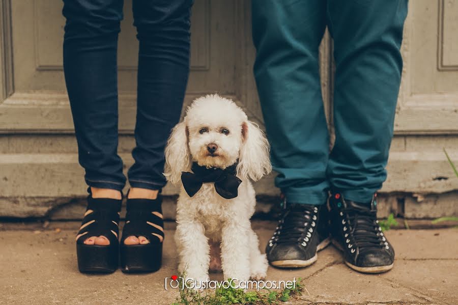 Fotógrafo de bodas Gus Campos (guscampos). Foto del 1 de marzo 2017