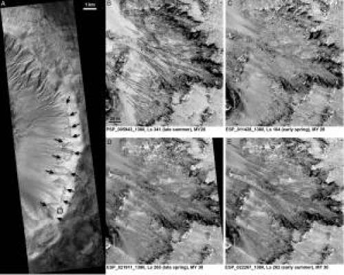 Mars Rover Results May Help Human Exploration