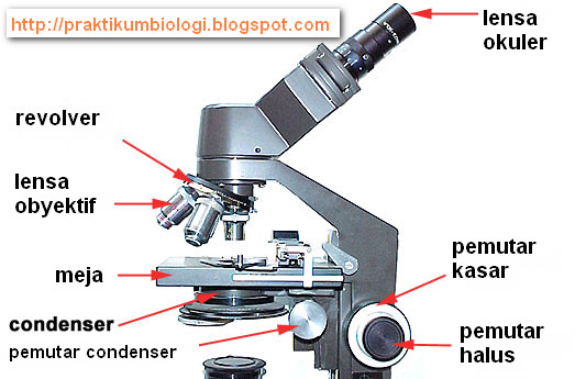 mikroskop_cahaya