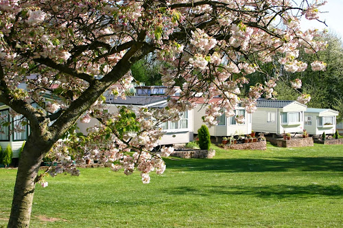 Knighton on Teme Caravan Park