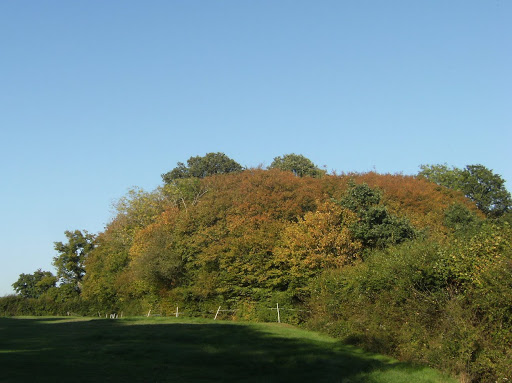 DSCF9878 Early autumn colours