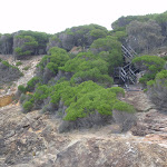 Stairs through heath to Pulpit Rock car park (107257)