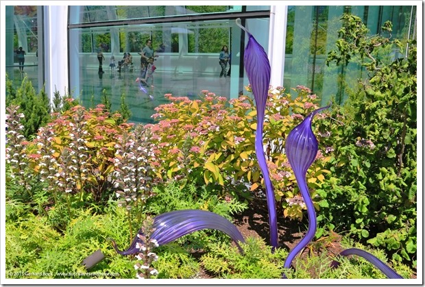 150626_Seattle_ChihulyGardenGlass_0055