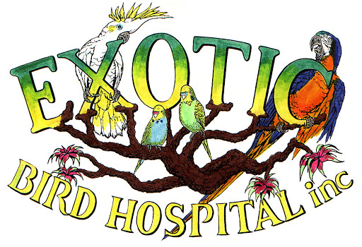 Exotic Bird Hospital Inc logo