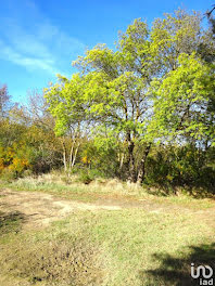 terrain à Sigean (11)