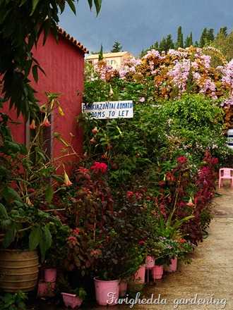 pot garden