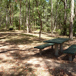 Picnic table at Mahognay Picnic Area in Blackbutt Reserve (401212)