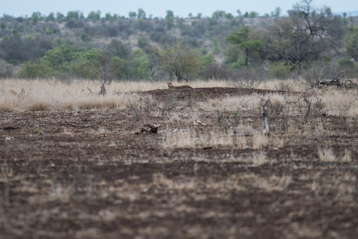 20151017_Africa15_D810_3510.jpg