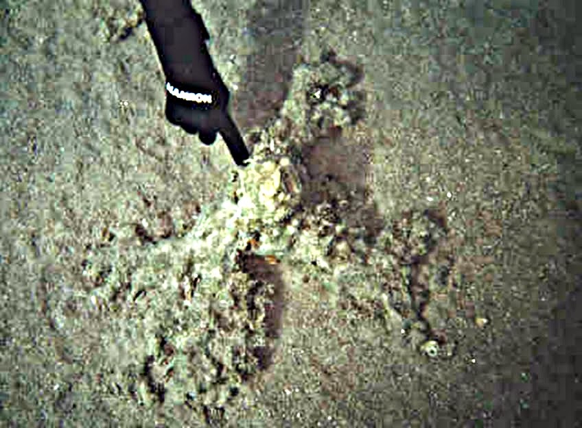 Wockas Xclusive SHOCKING DISCOVERY PARTING OF THE RED SEAChariot