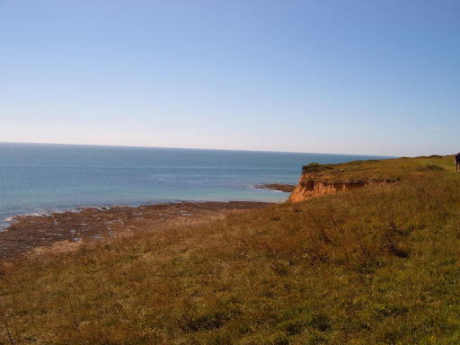 Cliffs above Seaford 