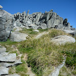 Path to top of Mt Townsend (266774)