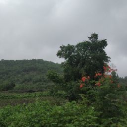 Image pertaining to ARAVIND KASANI