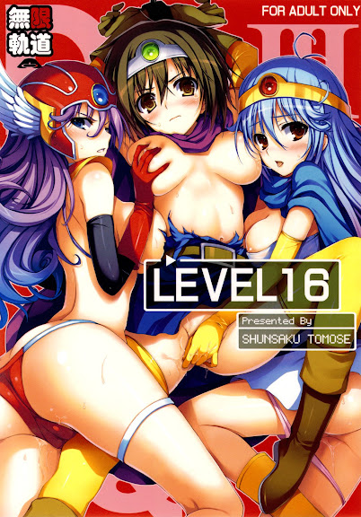 LEVEL 16