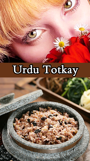 Urdu Totkay