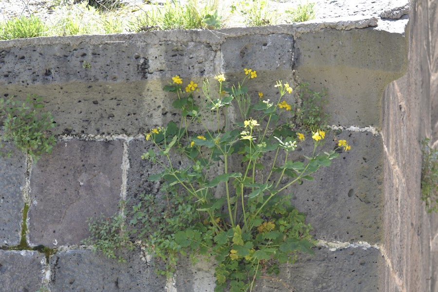 Армения: сокровища нации