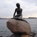 little mermaid upclose in Copenhagen, Denmark 