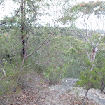 Track near Lawsons Lookout (146403)