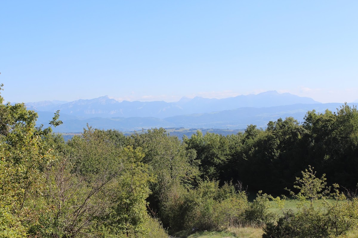 Dans l'Ain, dans le sud du département, Le Grand Thur IMG_5365