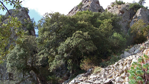 Dans la montée à Porta a Paola