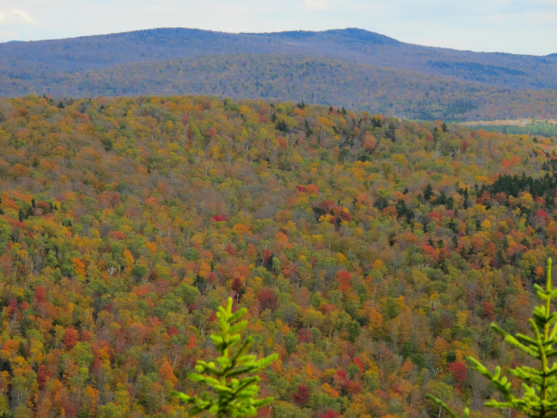 Vermont - Green Mountain