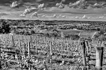 1 maggio 2014 Vesime. Loazzolo e Canelli - fotografia di Vittorio Ubertone