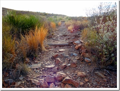 Mule Ears Spring Trail