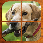 Dogs jigsaw puzzles (FREE) 7.4 Icon