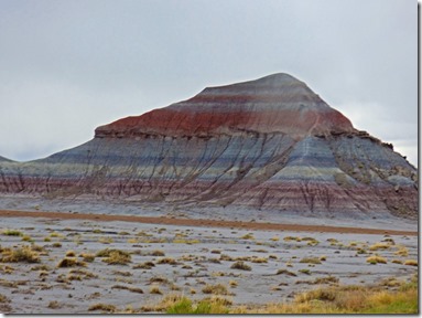  Petrified Forest National Park