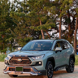 RAV4 MXAA54