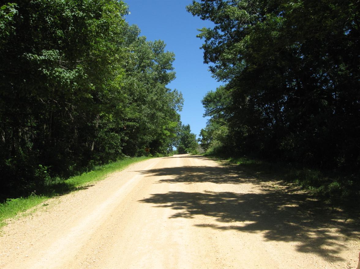 areas for gypsy moths  one