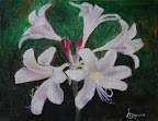 Fairy Lilies - Original Painting