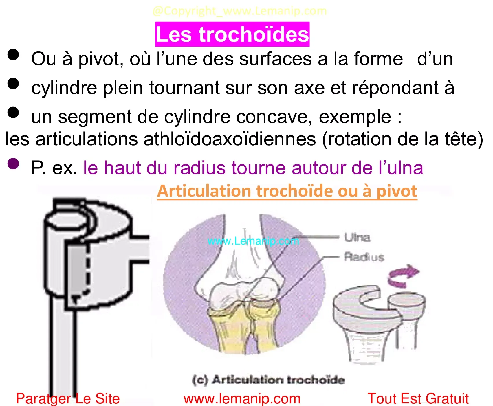 trochoïdes