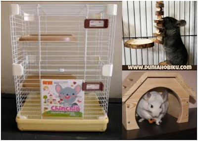 Gambar Kandang Chinchilla