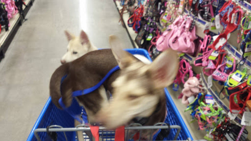 Pet Supply Store «PetSmart», reviews and photos, 4190 Vinewood Ln N, Plymouth, MN 55442, USA