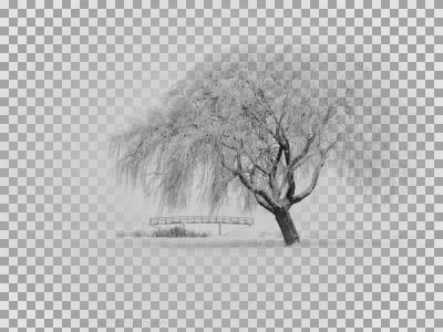 snow..018...jpg